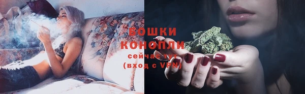 PSILOCYBIN Баксан