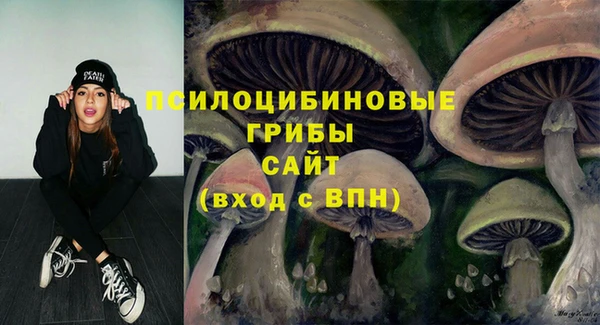 PSILOCYBIN Баксан