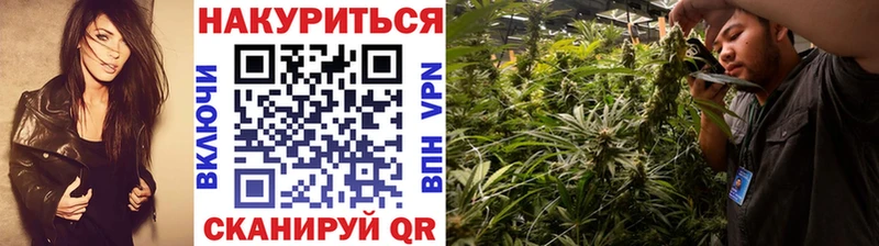 Марихуана индика блэк спрут рабочий сайт Озёры